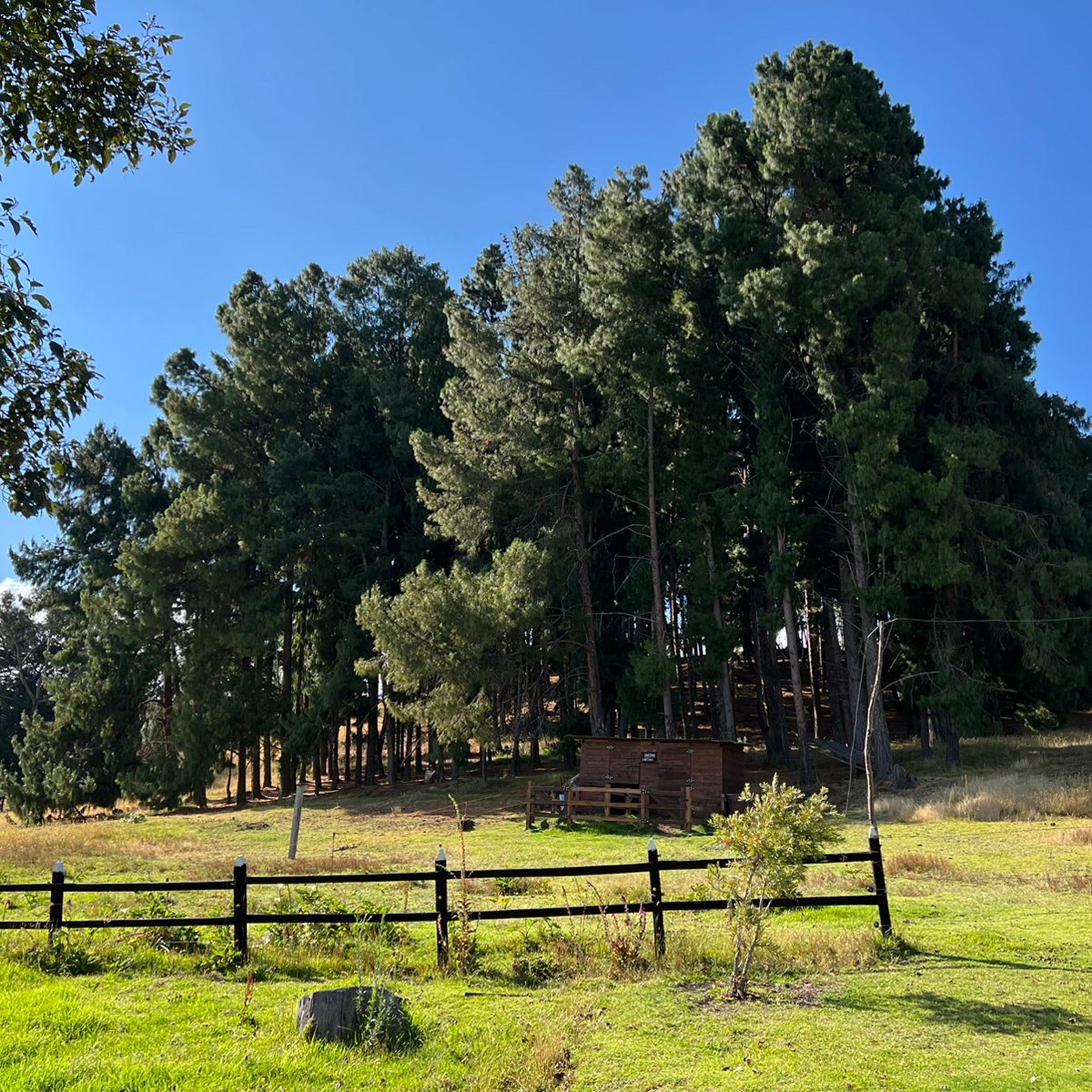 Retiros corporativos