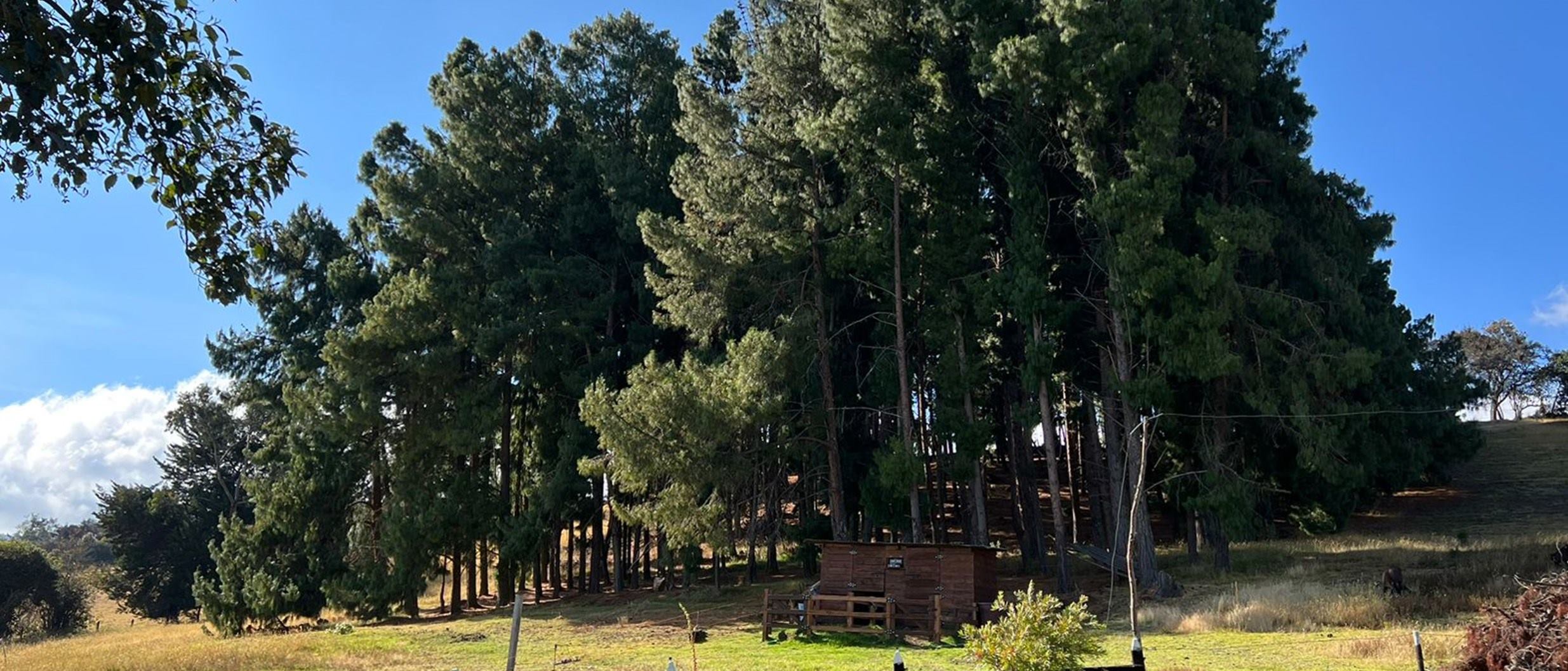 Retiros corporativos